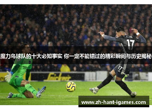 魔力鸟球队的十大必知事实 你一定不能错过的精彩瞬间与历史揭秘